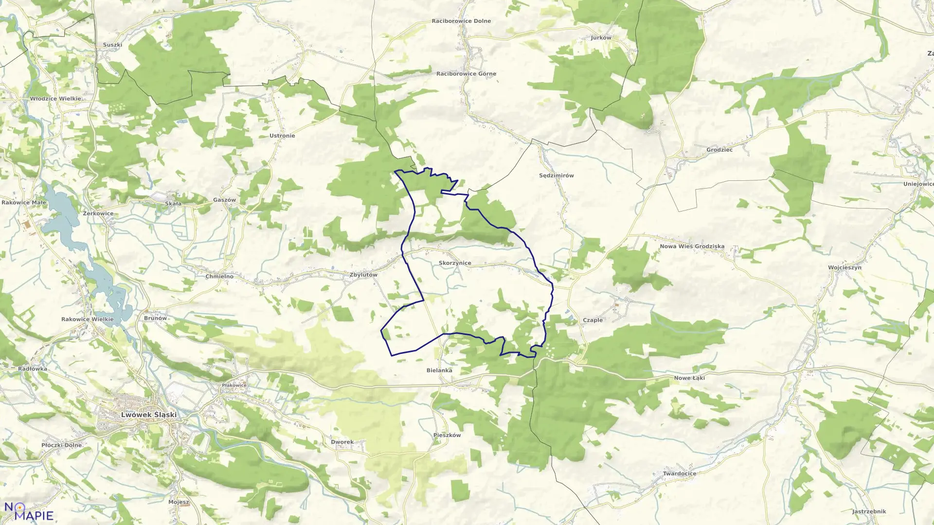 Mapa obrębu Skorzynice w gminie Lwówek Śląski